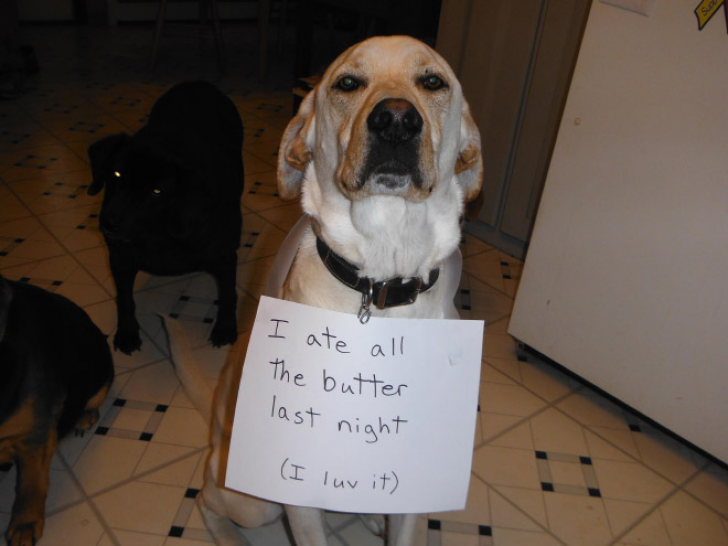 “I’m Really Sorry For What I Did”_6