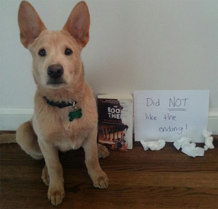 “I’m Really Sorry For What I Did”_9