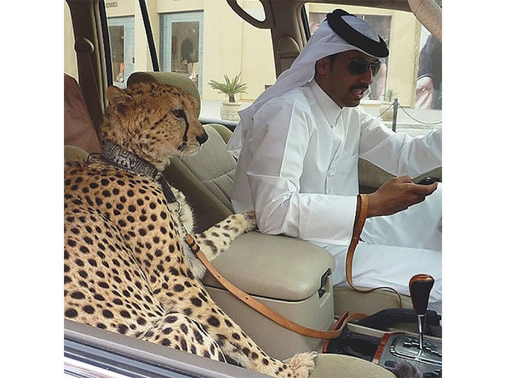 land-of-the-rich-15-crazy-things-that-you-only-see-in-dubai_1