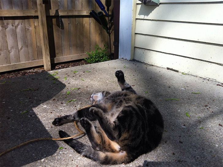 Let Me In! Please!_14