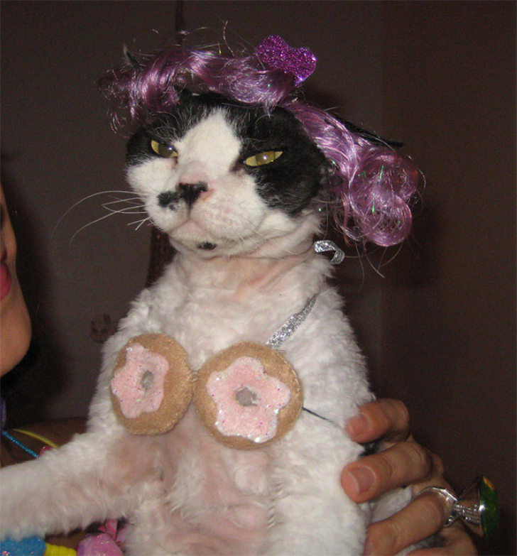 Plotting Cats_10