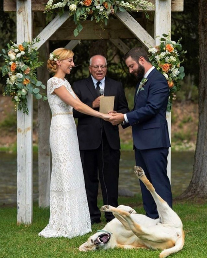 Shameless Animal Photobombs_1