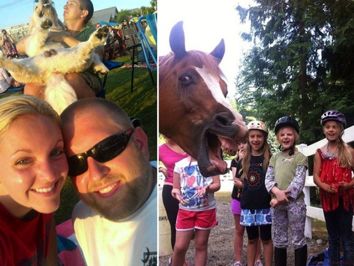 Shameless Animal Photobombs_11