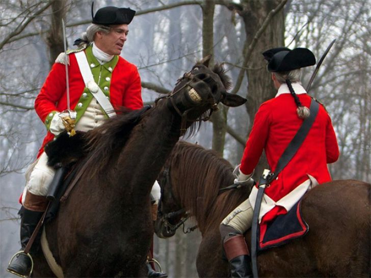 Shameless Animal Photobombs_15