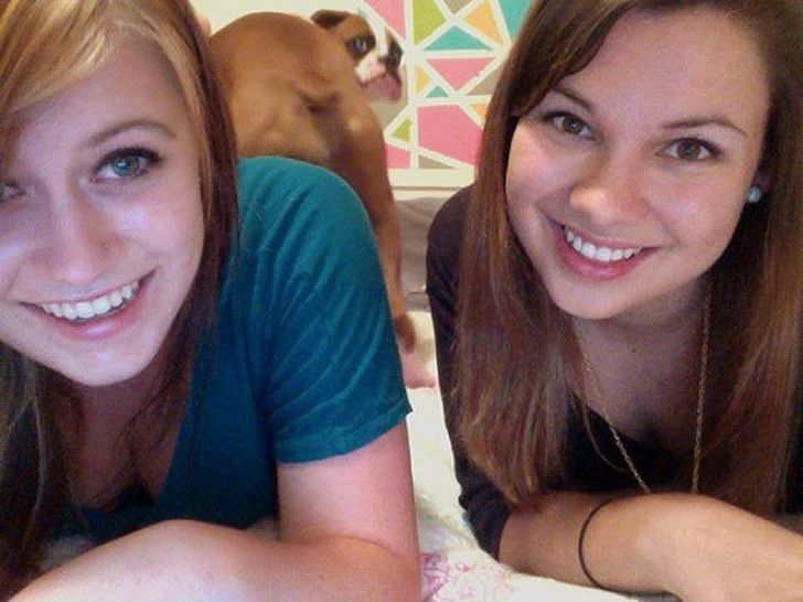 Shameless Animal Photobombs_2