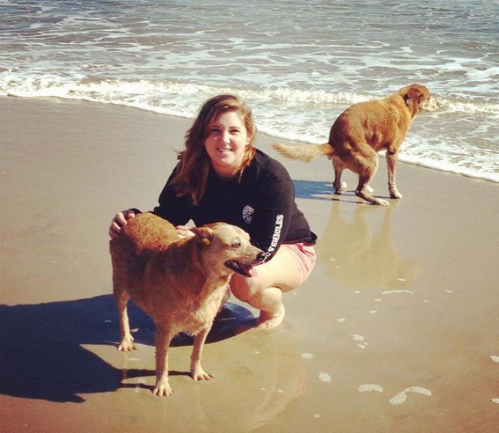 Shameless Animal Photobombs_20