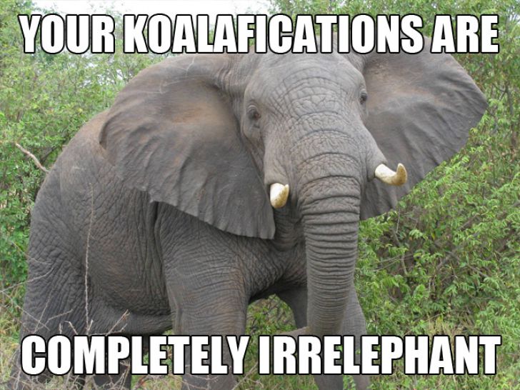 The Ultimate Animal Pun_2