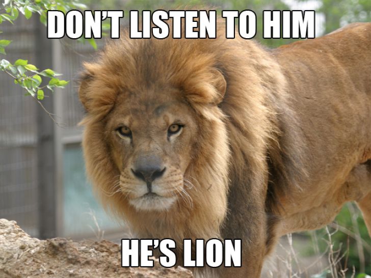 The Ultimate Animal Pun_3