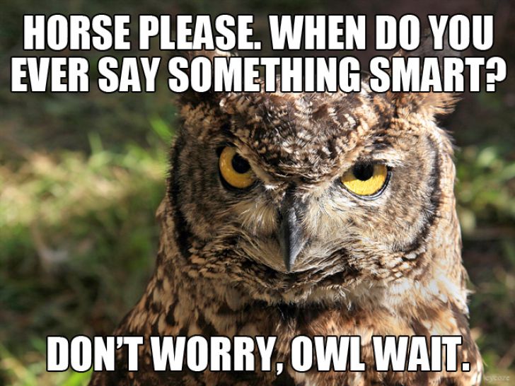 The Ultimate Animal Pun_6