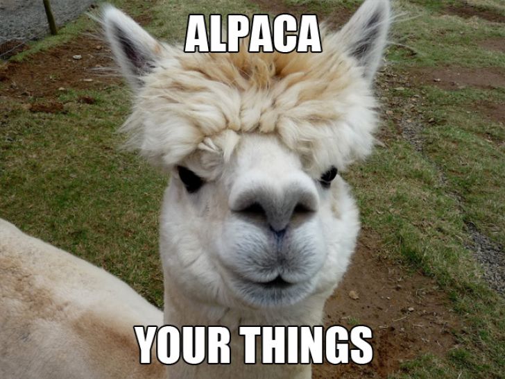 The Ultimate Animal Pun_9