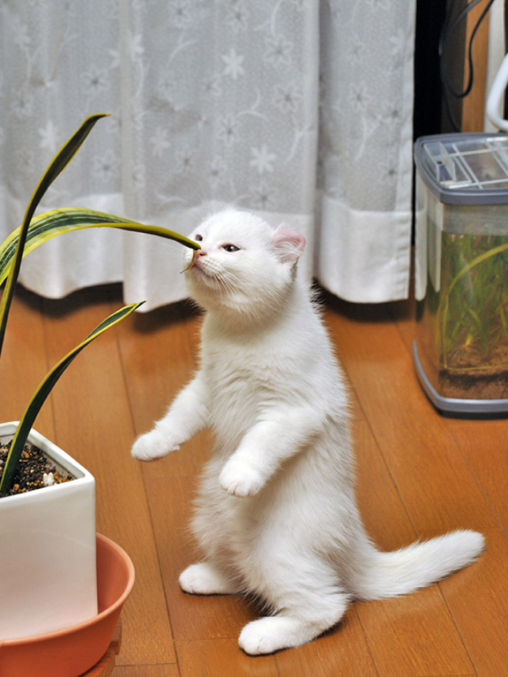 Wait...Why Am I On My Feet?_7