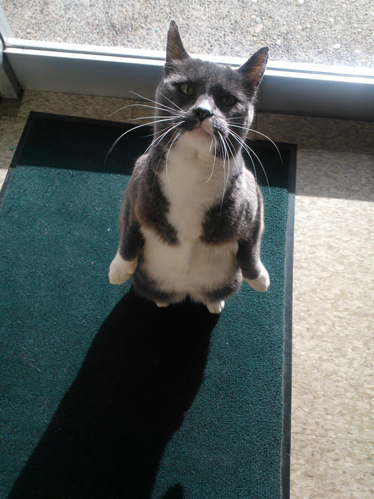 Wait...Why Am I On My Feet?_9
