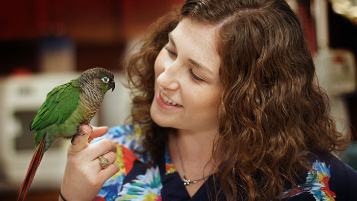 Why Choose An Exotic Pet?