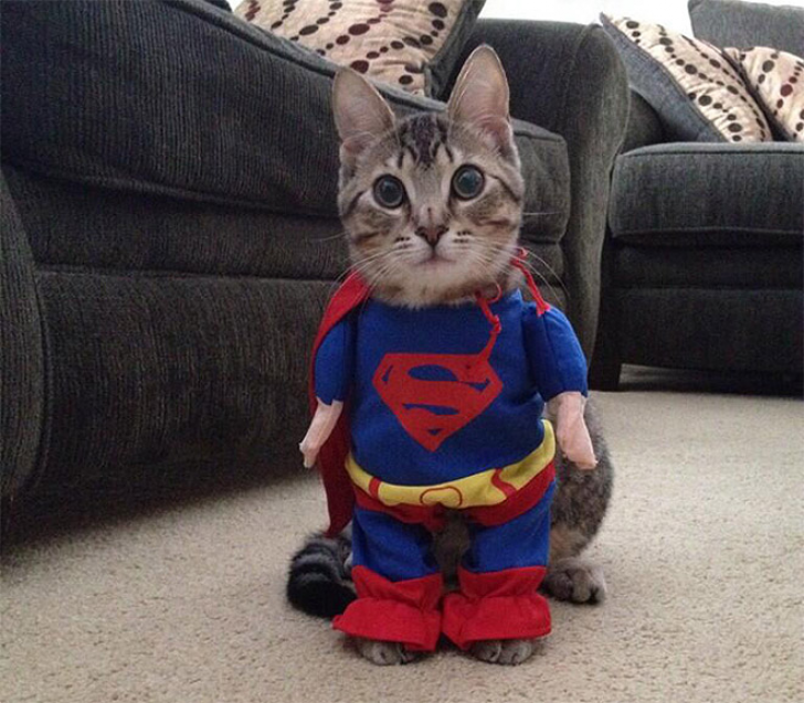 Who Gives You The Right To Dress Me Like This?_1