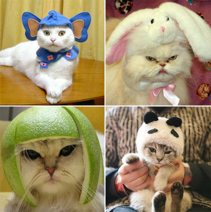 Who Gives You The Right To Dress Me Like This?_5