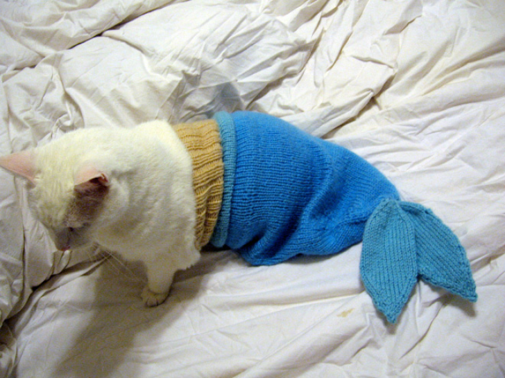 Who Gives You The Right To Dress Me Like This?_6