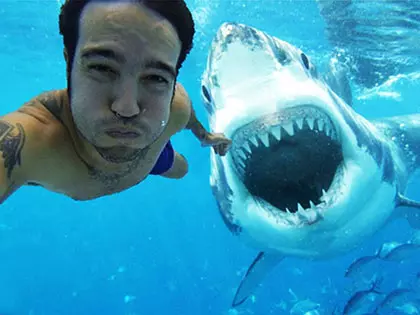 10 Final Moments Recorded Seconds Before Animal's Fatal Attack