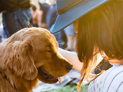 10 Of The Most Loyal Dog Breeds: The Faithful Companion You’ve Always Needed