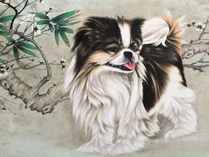 Fascinating Stories of 12 Uncommon Chinese Dog Breeds