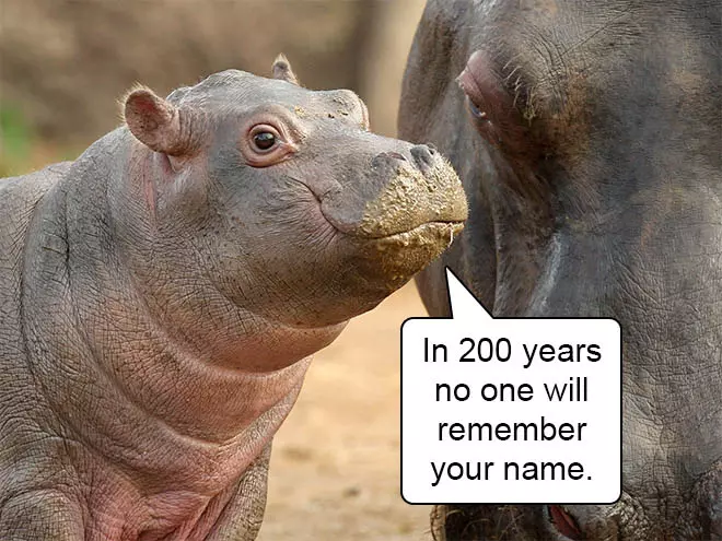 Hard Truths From Baby Animals