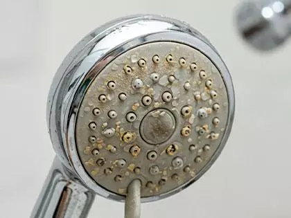 Zó ontkalk je je douchekop binnen een minuut! Nooit meer een zielig straaltje