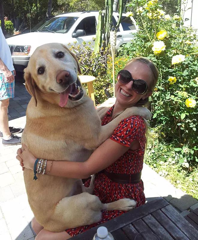 Huge Dogs That Think They’re Still Puppies