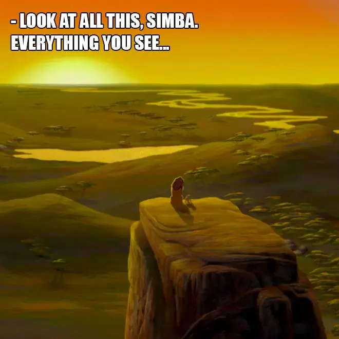 Look at All This, Simba…
