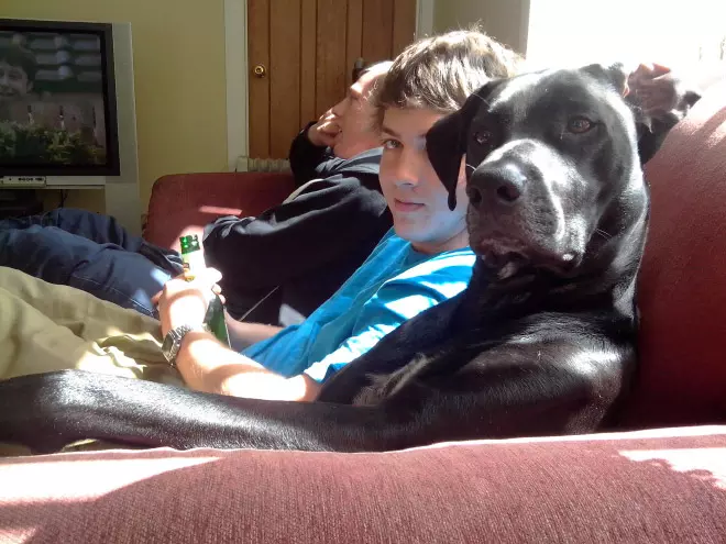 Pets And Their Owners