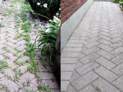 Verwijder onkruid met dit middeltje dat iedereen onder de gootsteen heeft!