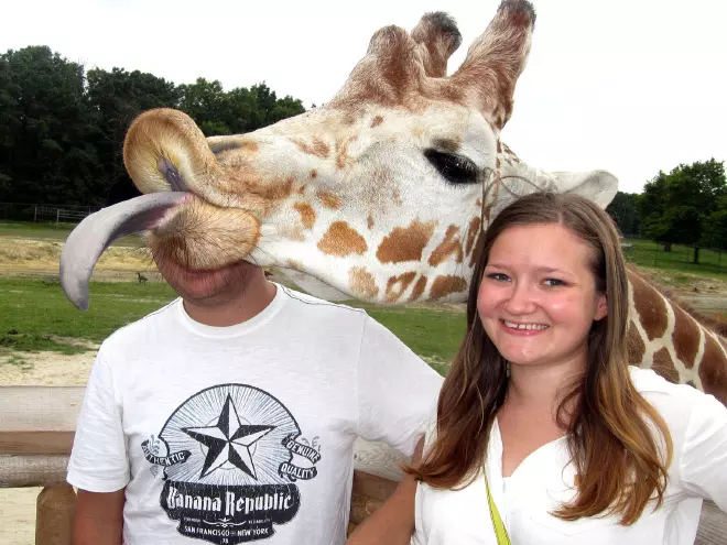 Shameless Animal Photobombs