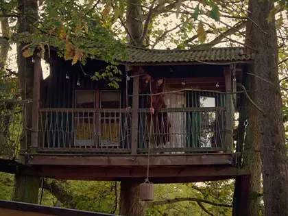 She Built a Secret Treehouse—Wait Until You See the Inside