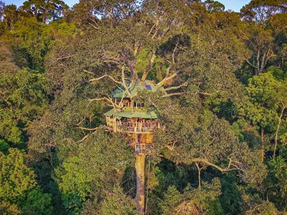 She Left the City for a Treehouse—See Her Secret Sanctuary