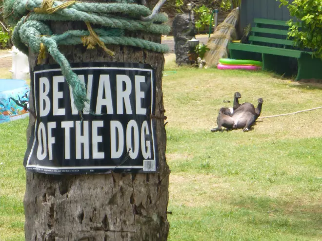The Truth Behind “Beware of the Dog” Signs