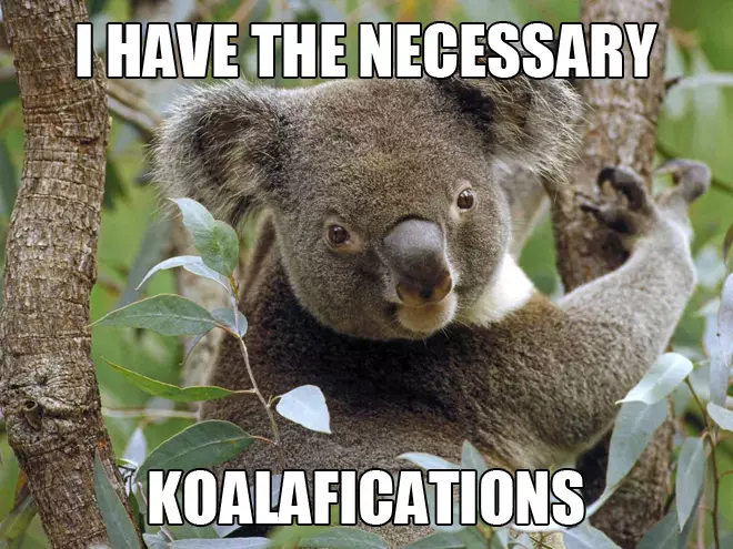 The Ultimate Animal Pun