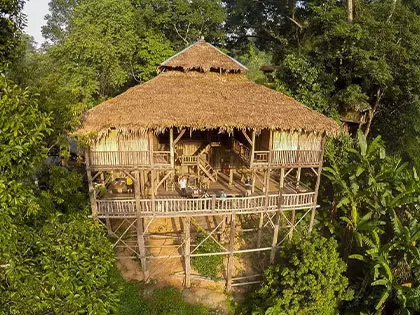 Where YouTuber Jessica Built a Calm Escape Hidden Deep in the Woods