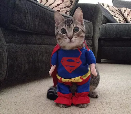 Who Gives You The Right To Dress Me Like This?
